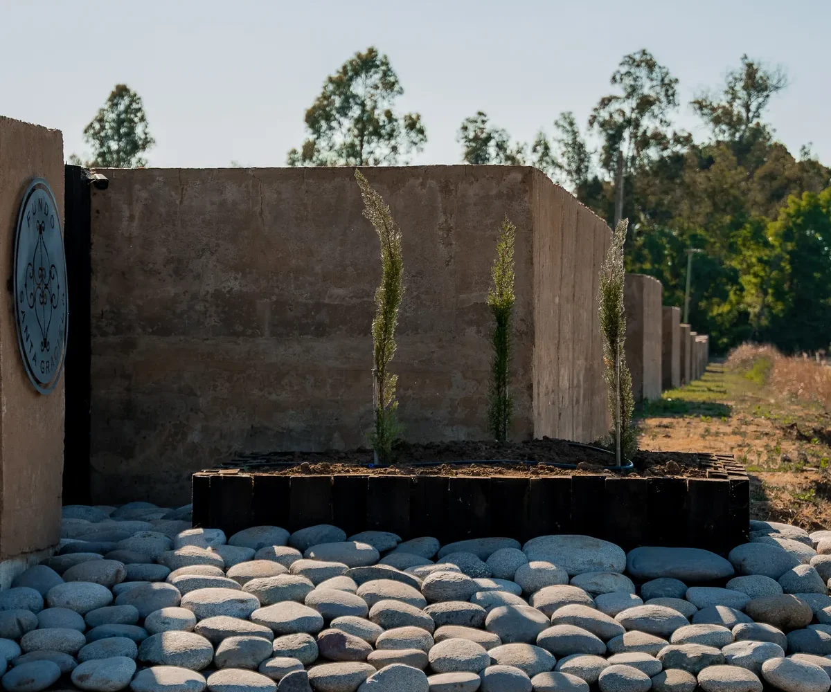 Muro de acceso con jardín de piedras de río y cipreses recién plantados