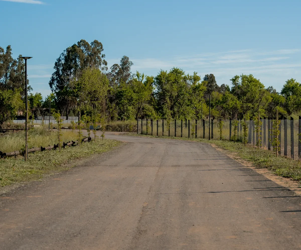 Camino interior del loteo con arbolado y cierres perimetrales