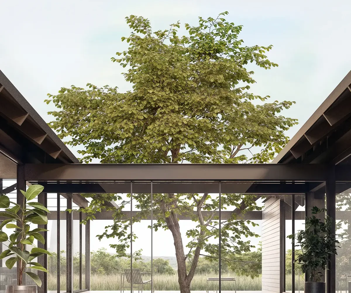 Patio interior con el árbol existente conservado entre los dos volúmenes